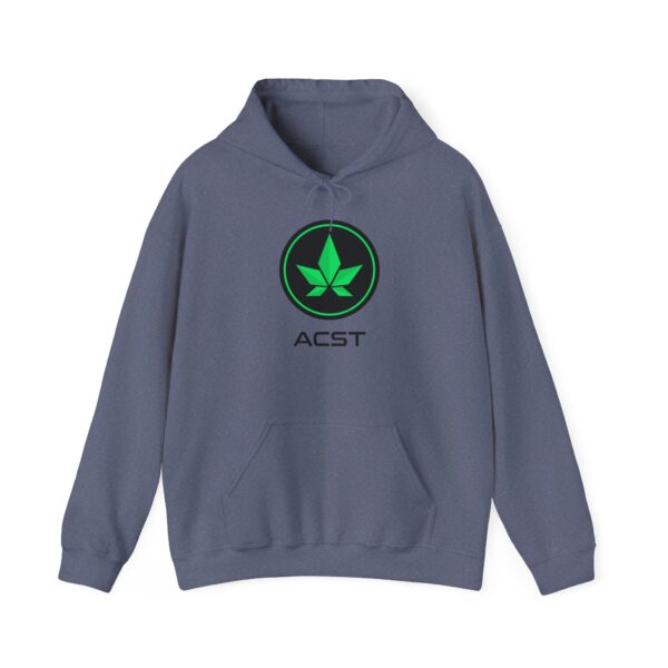 Hoodie - Authentic Thank You For Pot Smoking® - Approved by the American Cannabis Society® - Image 37