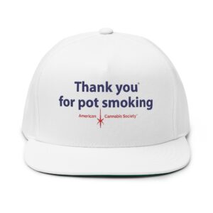 Thank You for Pot Smoking® embroidered flat bill snapback — cannabis cap from THC Factor by GreenRX™