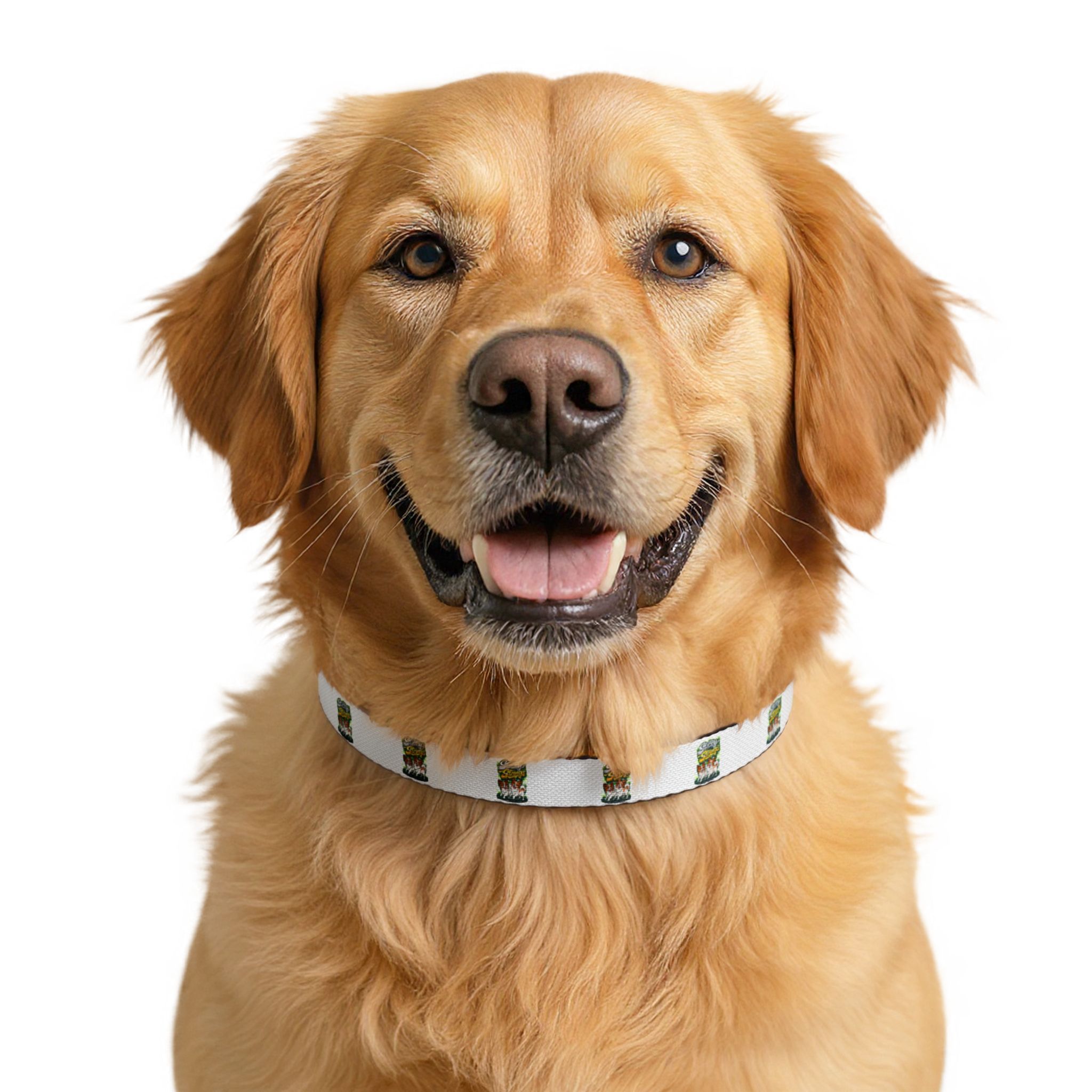Green Cactus Pattern Clip-On Pet Collar — Adjustable Dog Collar - Image 4
