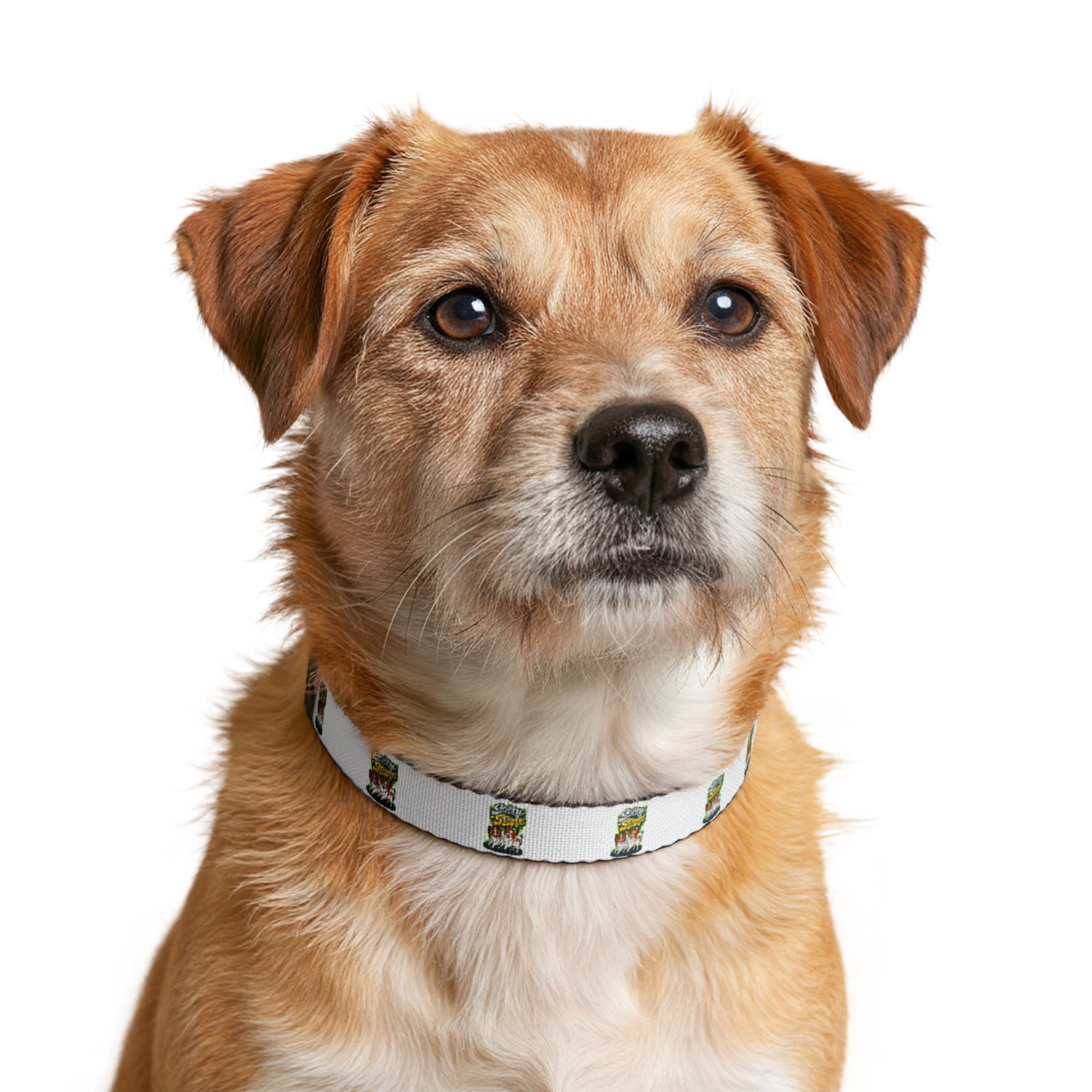 Green Cactus Pattern Clip-On Pet Collar — Adjustable Dog Collar - Image 2