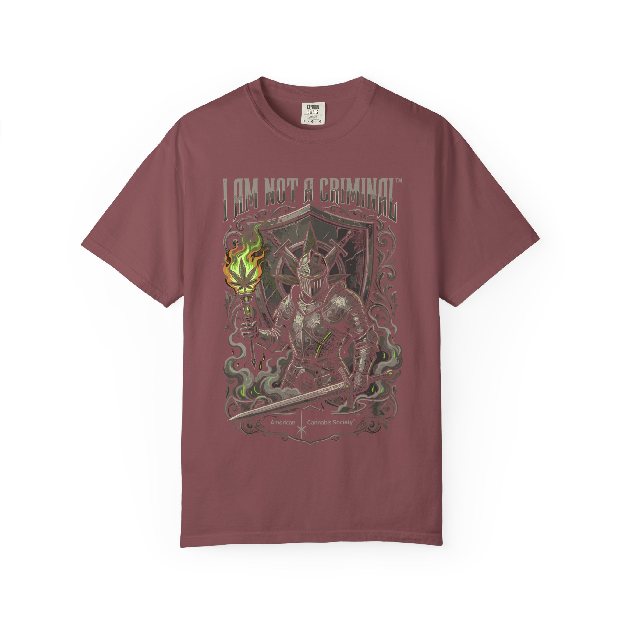 I Am Not a Criminal™ Fantasy T-Shirt — Dark Knight Mage Graphic Tee - Image 13