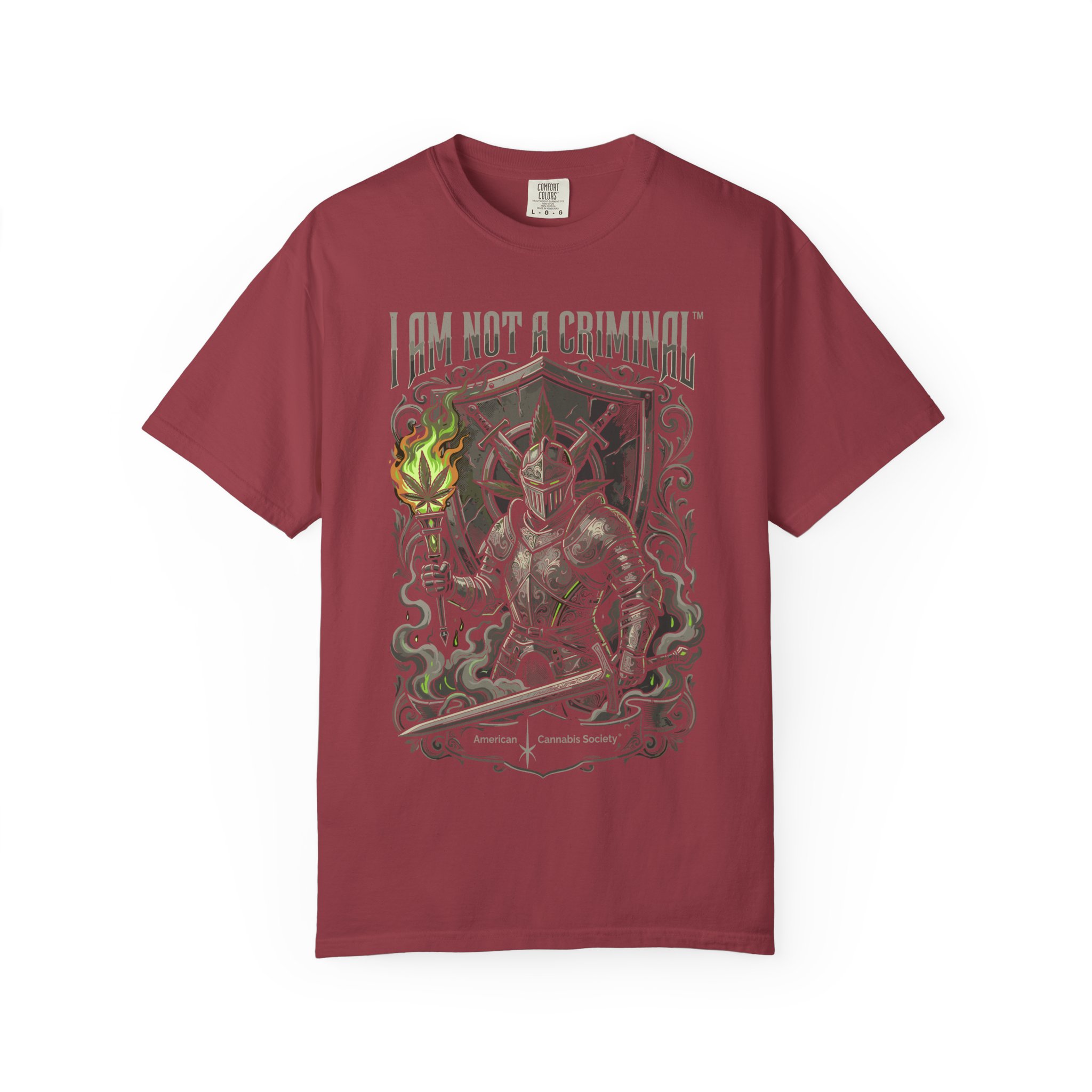 I Am Not a Criminal™ Fantasy T-Shirt — Dark Knight Mage Graphic Tee - Image 53