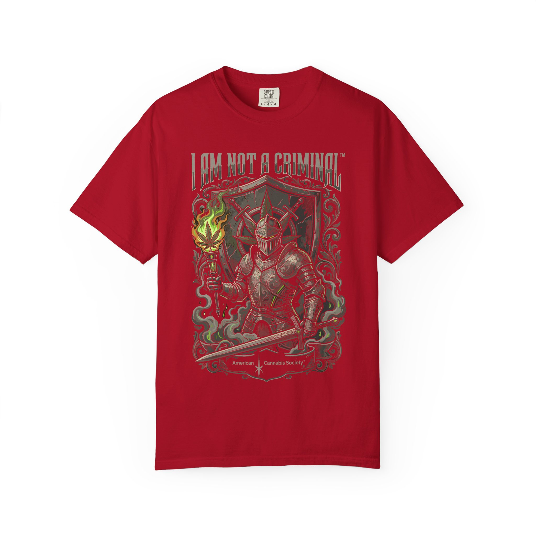 I Am Not a Criminal™ Fantasy T-Shirt — Dark Knight Mage Graphic Tee - Image 57