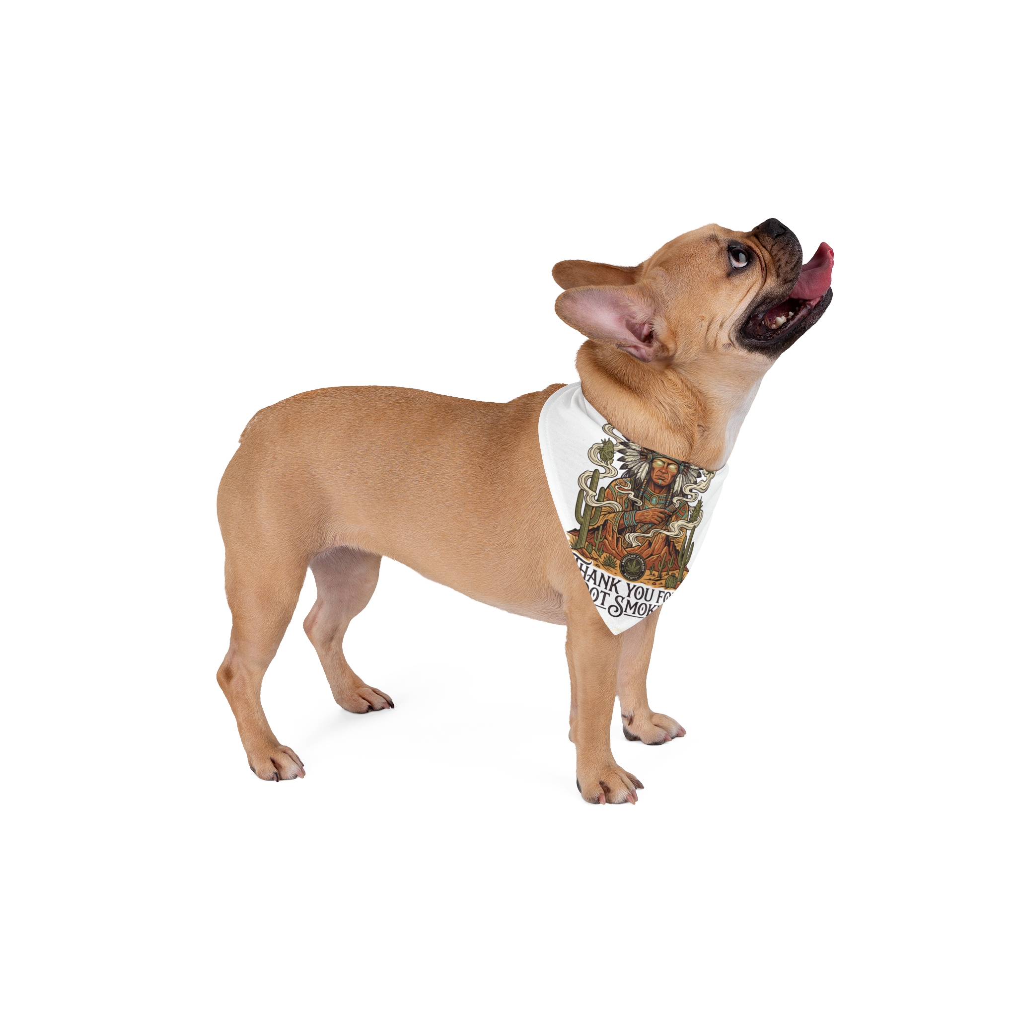 Thank You For Pot Smoking® Desert Chief Pet Bandana – 20" × 10" – view 4