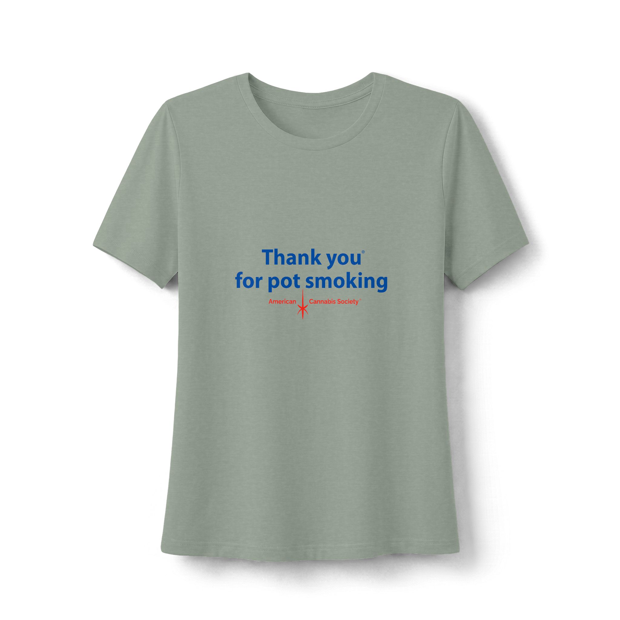 Thank You For Pot Smoking® Women's Relaxed Heather Tee – Heather Sage