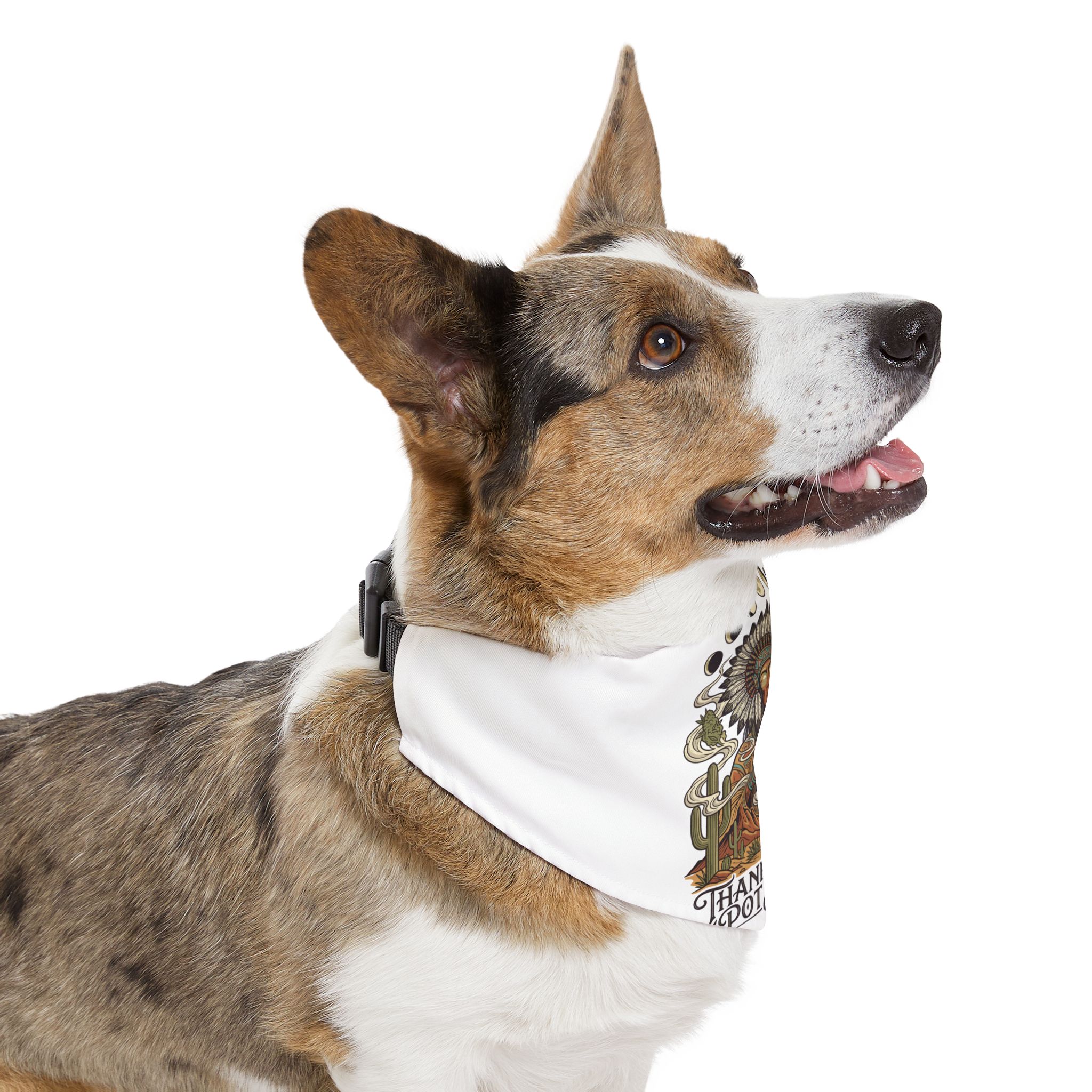 Thank You For Pot Smoking® Desert Chief Pet Bandana Collar – XL – view 3