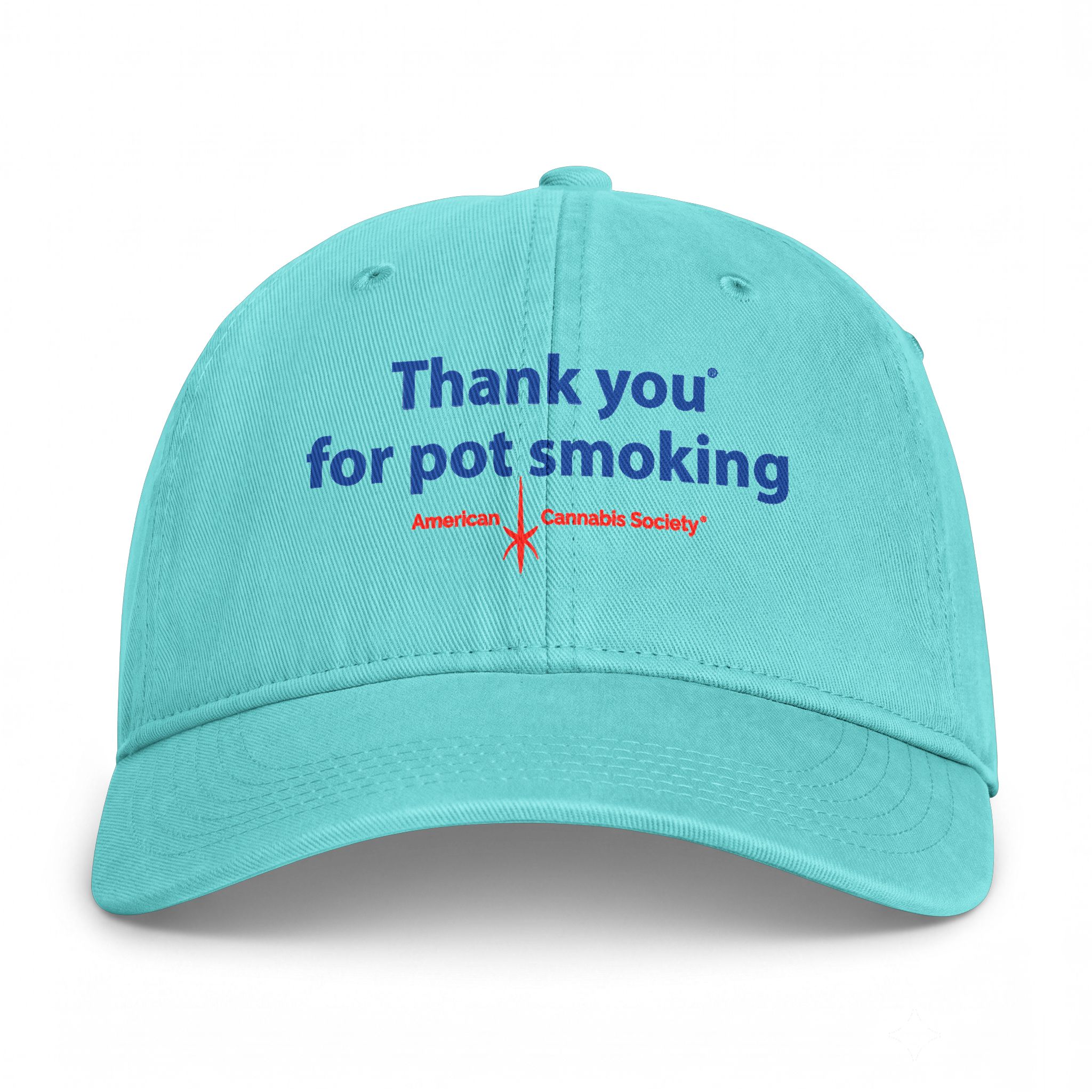 Thank You For Pot Smoking® Coastal Washed Cap – Chalky Mint