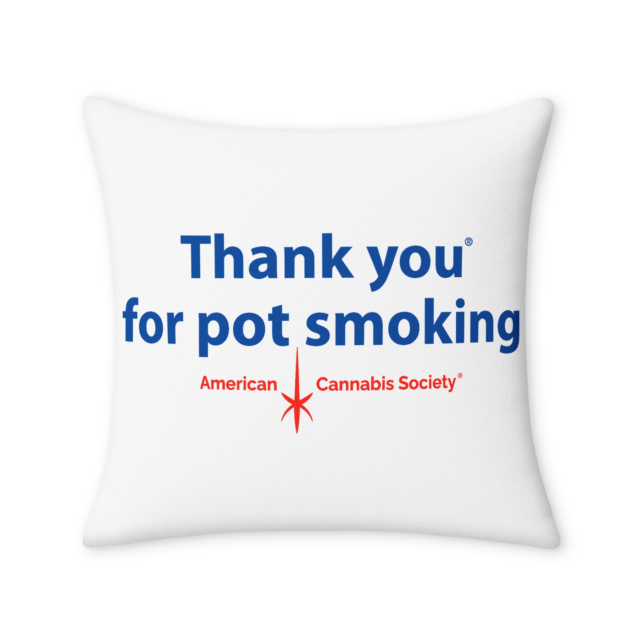 Thank You For Pot Smoking® Throw Pillow Case – 24" × 24"