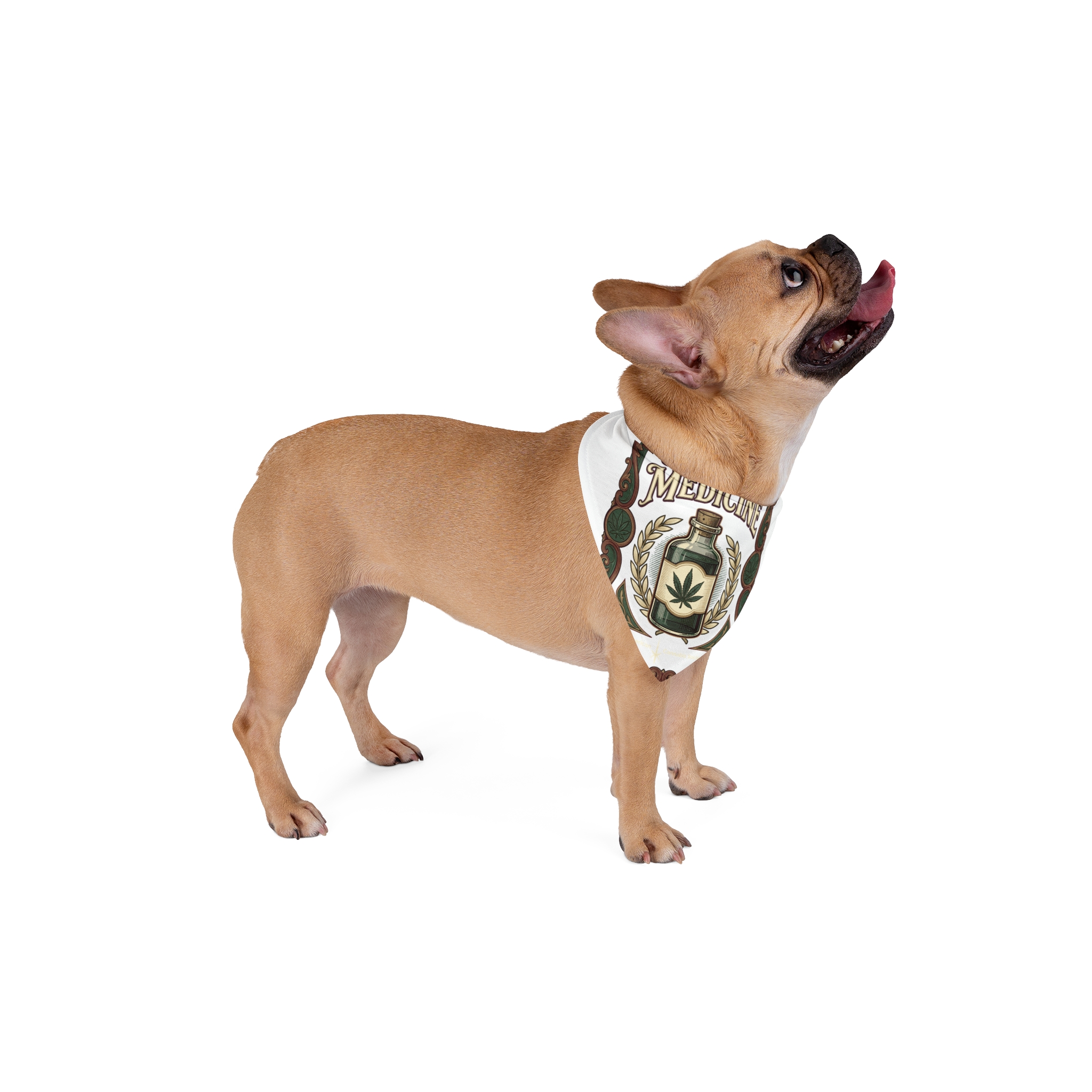 Give Me My Medicine™ Pet Bandana – 20" × 10" – view 4
