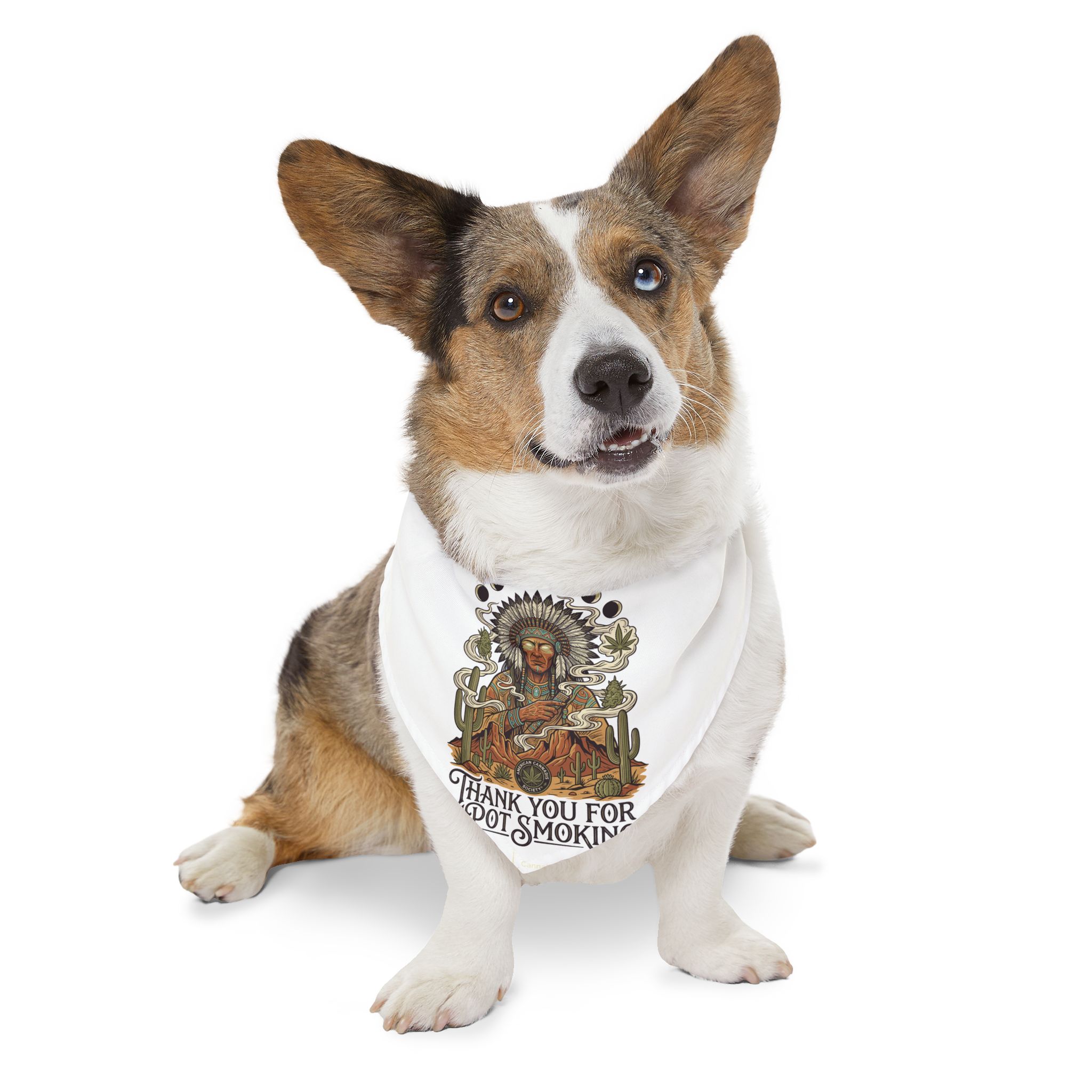 Thank You For Pot Smoking® Desert Chief Pet Bandana Collar – XL – view 2